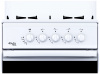 Газ. плита ЛАДА NOVA RG 24040 W 4-х горел с/кр белая+г/к фото 42173