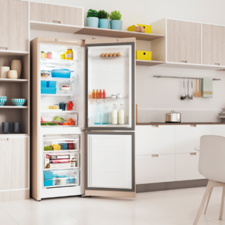 Холодильник INDESIT ITR 4180 E беж. (FNF) фото 47761