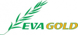 EVA GOLD